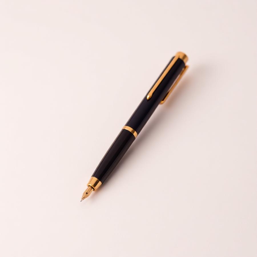 Executive ballpoint pen with gold trim on a light background